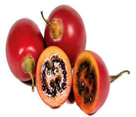 Tamarillo